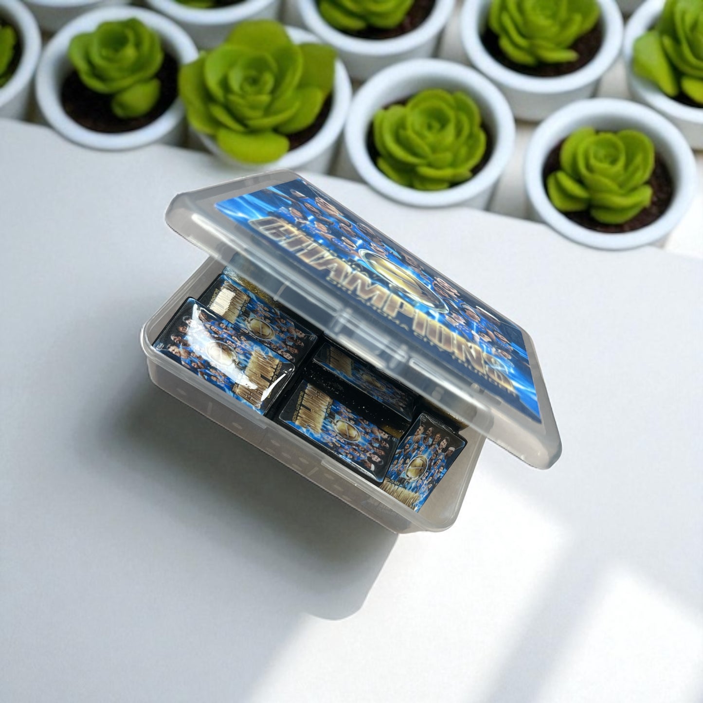 Weighted Professional-Size Custom Domino Set